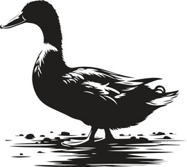 duck isolated on white background