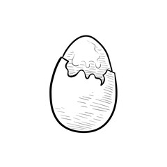 chicken eggs handdrawn illustration