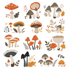 A set of autumn mushrooms.Forest wild mushrooms types.Poisonous and edible mushroom, chanterelle, cep, amanita and truffle isolated vector illustration set.