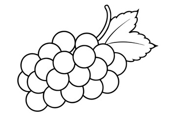 Grapes line art vector, Bunch of grapes with leaf, line art of grapes