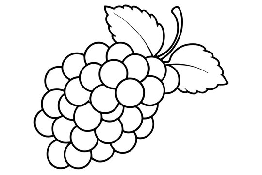 recommend clip art: Grapes line art vector, Bunch of grapes with leaf, line art of grapes