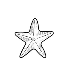 starfish handdrawn illustration