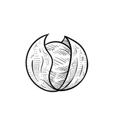 nuts handdrawn illustration