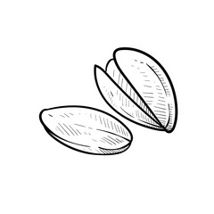 nuts handdrawn illustration