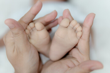 Parent holding in the hands feet of newborn baby.