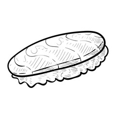 sushi handdrawn illustration