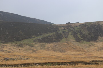 Ring of Kerry Mountains