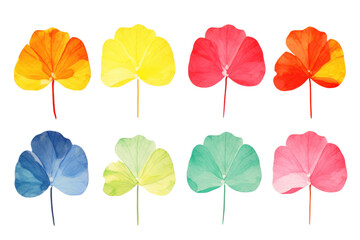Obraz premium Eight colorful translucent leaves displayed in isolated on transparent background, showcasing a vibrant array of hues and intricate details.