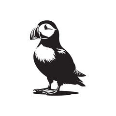 Sea Bird Vector - Puffin Silhouette - Puffin Illustration - Bird Design.