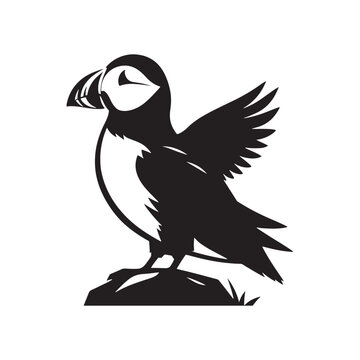recommend clip art: Sea Bird Vector - Puffin Silhouette - Puffin Illustration - Bird Design.