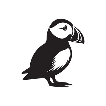 recommend clip art: Sea Bird Vector - Puffin Silhouette - Puffin Illustration - Bird Design.