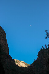 canyon in Zion national park