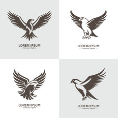 Collection of Eagle icons. Logo of hawk. Hawk simple icon. eagle vector symbols.Set of hawk