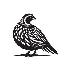 Quail Bird Vector Silhouette - Minimalist Quail Bird Design - Quail Illustration.
