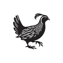 Quail Bird Vector Silhouette - Minimalist Quail Bird Design - Quail Illustration.