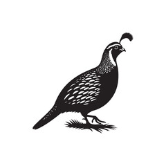 Quail Bird Vector Silhouette - Minimalist Quail Bird Design - Quail Illustration.