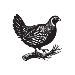 Quail Bird Vector Silhouette - Minimalist Quail Bird Design - Quail Illustration.