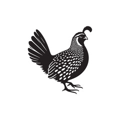 Quail Bird Vector Silhouette - Minimalist Quail Bird Design - Quail Illustration.