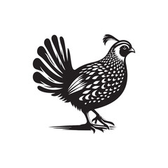 Quail Bird Vector Silhouette - Minimalist Quail Bird Design - Quail Illustration.