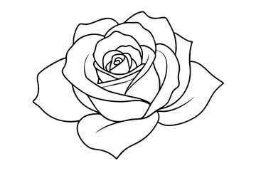 rose flowers silhouettes Vector set, set of decorative rose with leaves	
