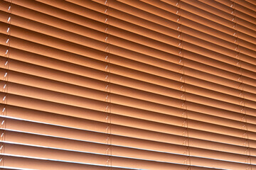 window coverings in the cafeteria