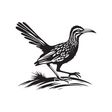 recommend clip art: Roadrunner Bird Vector - Roadrunner Bird Silhouette - Minimalist Roadrunner Bird design.