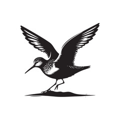 Obraz premium Sandpiper Bird Silhouette - Sandpiper Bird Vector - Minimalist Bird Design.