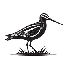 Minimalist Snipe Bird Design -  Snipe Bird Vector Silhouette - Snipe Bird Illustration.