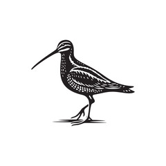 Minimalist Snipe Bird Design -  Snipe Bird Vector Silhouette - Snipe Bird Illustration.