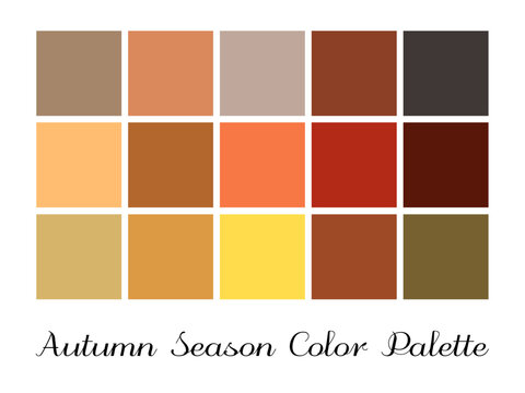 autumn season theme pastel palette color set include fifteen colors for modern minimalist design.