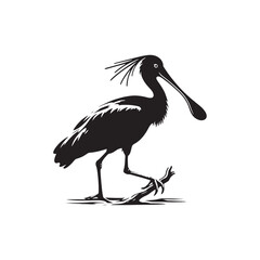 Spoonbill Bird Silhouette - Bird Vector - Spoonbill Bird 
Illustration.