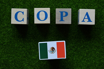 The flag of the Mexico national team is a participant in America's Cup Soccer. 2024 Copa America.