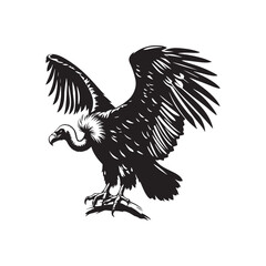 Vulture Bird Vector - Minimalist Vulture Silhouette - Vulture Bird Illustration.