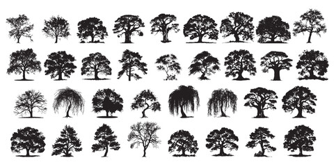 Diverse Tree Silhouette Collection, vector illustration © hadkhanong