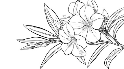 Cartoon oleander flower, outlined for coloring, on a white background.
