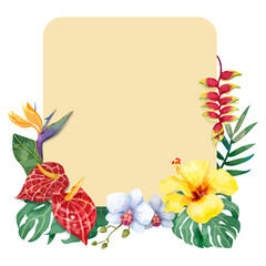 Flower frame png, botanical watercolor illustration, transparent background