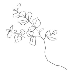 Flower doodle png minimal line art sticker, transparent background