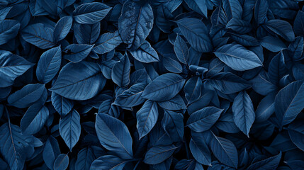 Fototapeta premium leaves background, blue color, high resolution, ultra realistic photography