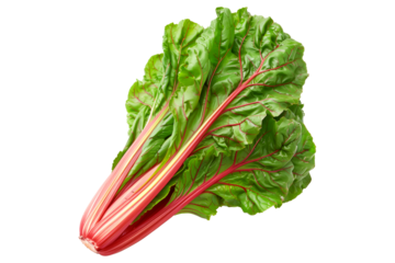 Red chard salad with both the stalks and leaves visible isolated on a white background.