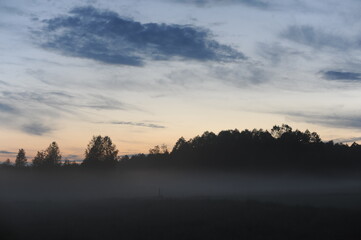 Foggy sunrise morning over the meadow with trees in the background and clouds in the sky
