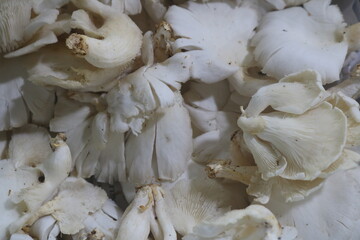 fresh vegetables and fruit for sale on the market and good for consumption
