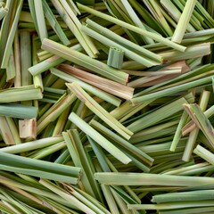 Lemongrass texture background, cymbopogon pattern, barbed wire grass banner, silky heads or oily heads