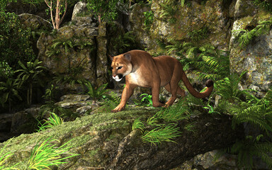 3d Illustration Portrait of Cougar Walk on a tree bridge across a river in the deep forest.