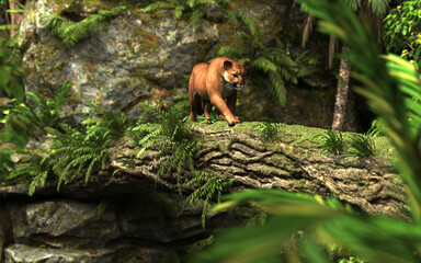 3d Illustration Portrait of Cougar Walk on a tree bridge across a river in the deep forest.