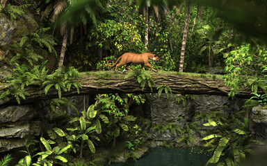 3d Illustration Portrait of Cougar Walk on a tree bridge across a river in the deep forest.