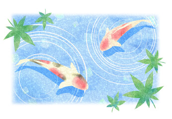 夏イメージの錦鯉とモミジのイラスト