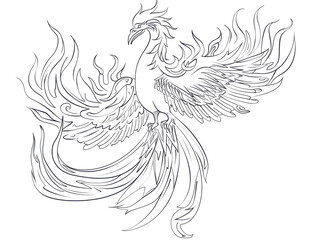 Obraz premium Sketch outline of a phoenix with flames, outlined for coloring, on a white background.