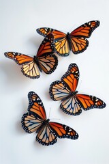 Fototapeta premium A group of butterflies sit on a smooth, white surface