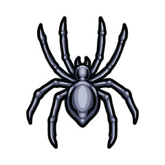 spider vector illustration on white background
