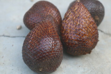 Salak fruit or thorny palm or Indonesian salak fruit Salak (Salacca zalacca) is a species of palm tree (Arecaceae family) that has a sweet taste and is comfortable to bite.